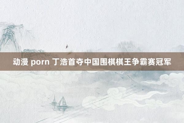 动漫 porn 丁浩首夺中国围棋棋王争霸赛冠军