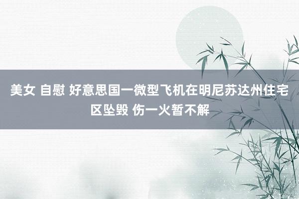 美女 自慰 好意思国一微型飞机在明尼苏达州住宅区坠毁 伤一火暂不解