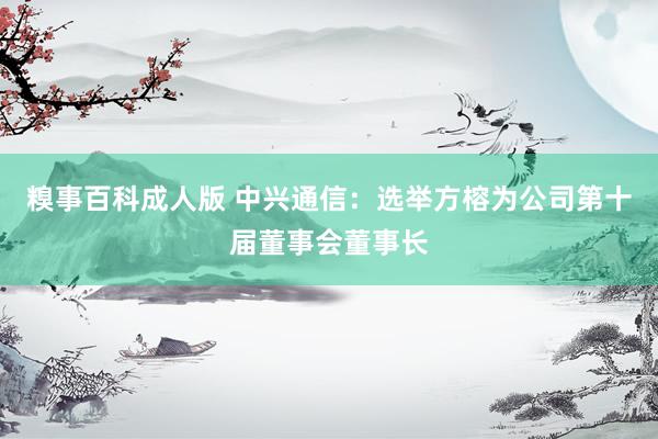 糗事百科成人版 中兴通信：选举方榕为公司第十届董事会董事长