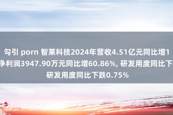 勾引 porn 智莱科技2024年营收4.51亿元同比增10.01%, 净利润3947.90万元同比
