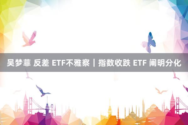 吴梦菲 反差 ETF不雅察｜指数收跌 ETF 阐明分化
