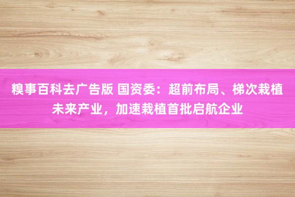 糗事百科去广告版 国资委：超前布局、梯次栽植未来产业，加速栽植首批启航企业