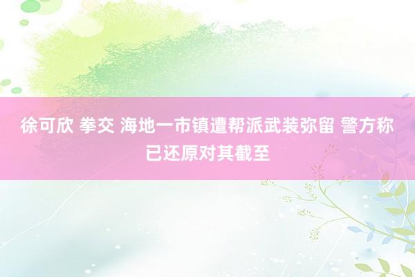 徐可欣 拳交 海地一市镇遭帮派武装弥留 警方称已还原对其截至