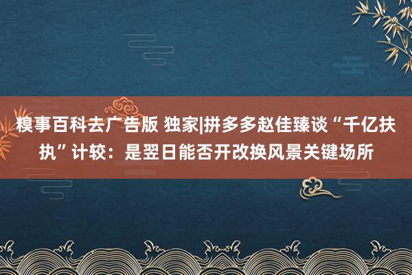 糗事百科去广告版 独家|拼多多赵佳臻谈“千亿扶执”计较：是翌日能否开改换风景关键场所
