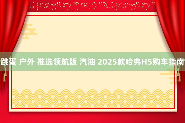 跳蛋 户外 推选领航版 汽油 2025款哈弗H5购车指南