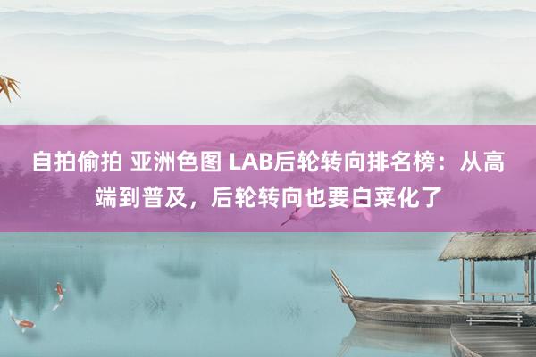 自拍偷拍 亚洲色图 LAB后轮转向排名榜：从高端到普及，后轮转向也要白菜化了