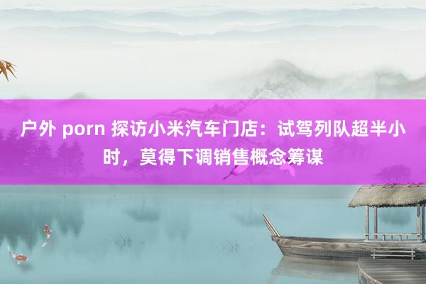 户外 porn 探访小米汽车门店：试驾列队超半小时，莫得下调销售概念筹谋