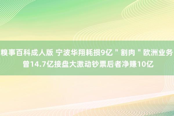 糗事百科成人版 宁波华翔耗损9亿＂割肉＂欧洲业务 曾14.7亿接盘大激动钞票后者净赚10亿