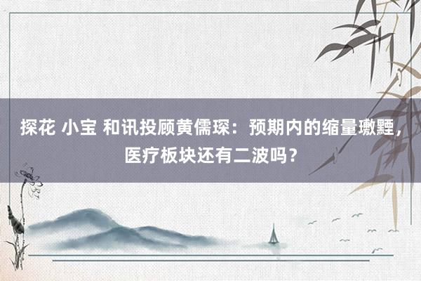 探花 小宝 和讯投顾黄儒琛：预期内的缩量璷黫，医疗板块还有二波吗？