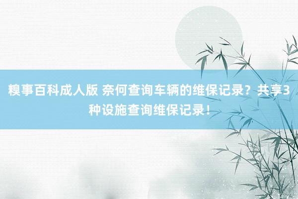 糗事百科成人版 奈何查询车辆的维保记录？共享3种设施查询维保记录！