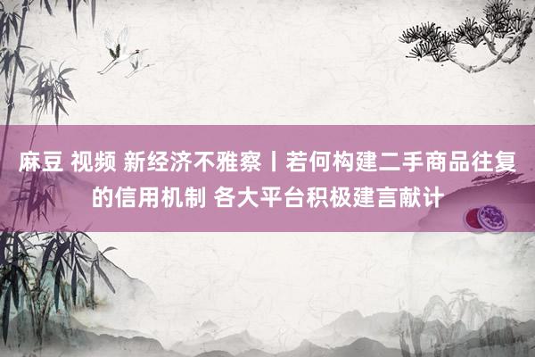 麻豆 视频 新经济不雅察丨若何构建二手商品往复的信用机制 各大平台积极建言献计