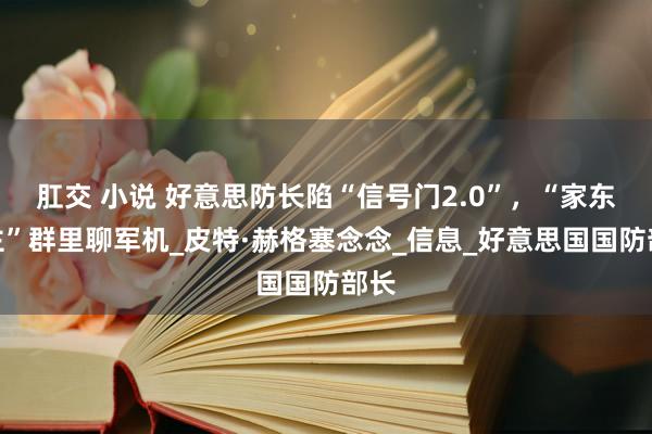 肛交 小说 好意思防长陷“信号门2.0”，“家东谈主”群里聊军机_皮特·赫格塞念念_信息_好意思国国