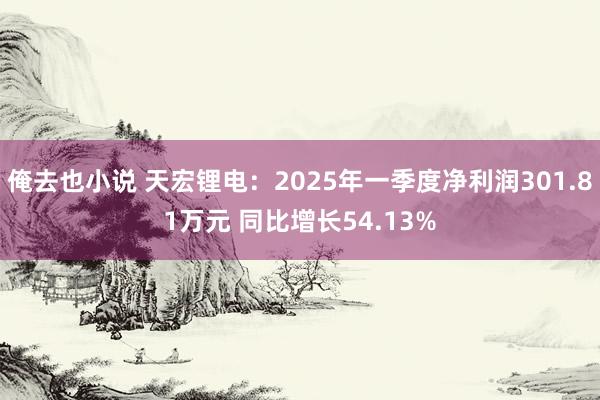 俺去也小说 天宏锂电：2025年一季度净利润301.81万元 同比增长54.13%