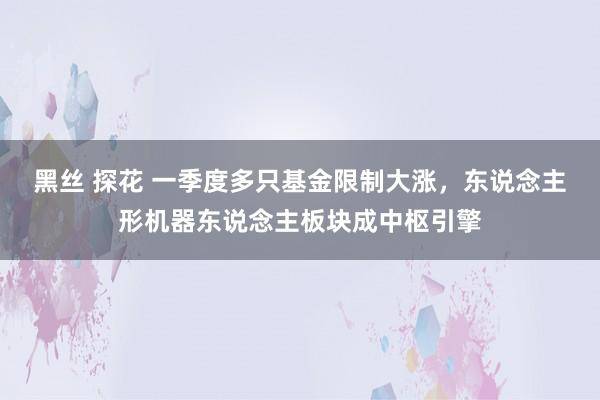 黑丝 探花 一季度多只基金限制大涨，东说念主形机器东说念主板块成中枢引擎