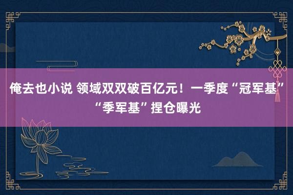 俺去也小说 领域双双破百亿元！一季度“冠军基”“季军基”捏仓曝光