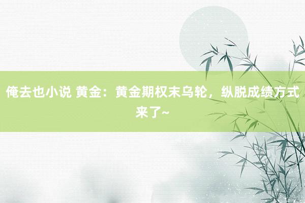 俺去也小说 黄金：黄金期权末乌轮，纵脱成绩方式来了~