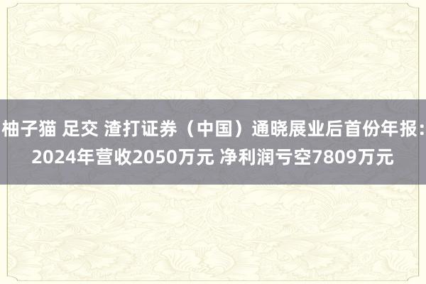 柚子猫 足交 渣打证券（中国）通晓展业后首份年报：2024年营收2050万元 净利润亏空7809万元