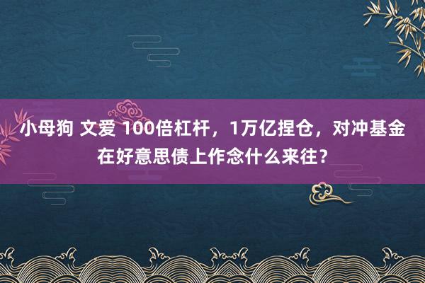 小母狗 文爱 100倍杠杆，1万亿捏仓，对冲基金在好意思债上作念什么来往？