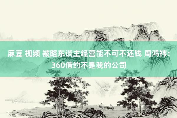 麻豆 视频 被路东谈主经营能不可不还钱 周鸿祎：360借约不是我的公司