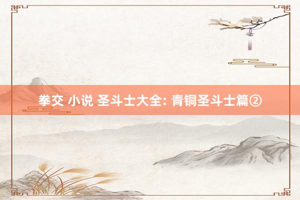 拳交 小说 圣斗士大全: 青铜圣斗士篇②